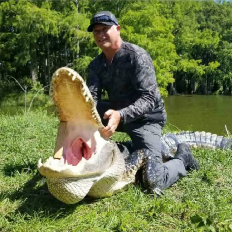 ALLIGATOR/HOG COMBO HUNT In Zolfo Springs