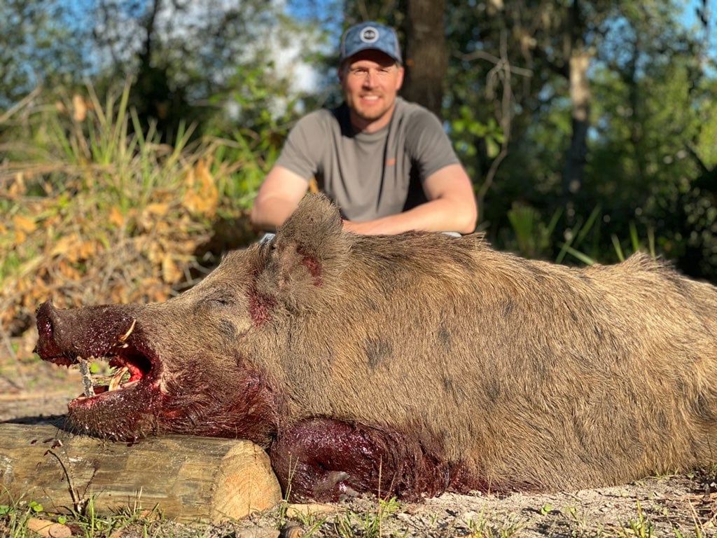 ALLIGATOR/HOG COMBO HUNT In Zolfo Springs