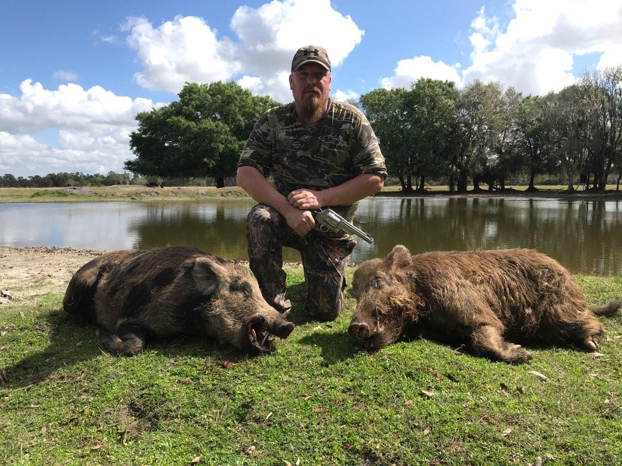 ALLIGATOR/HOG COMBO HUNT In Zolfo Springs