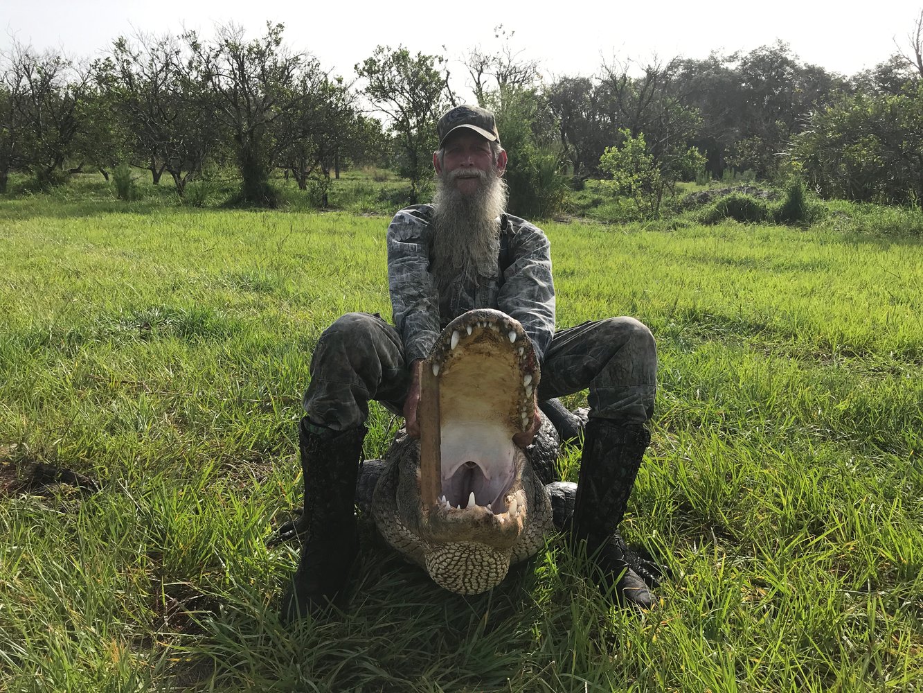 ALLIGATOR/HOG COMBO HUNT In Zolfo Springs