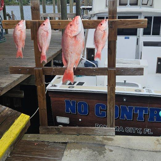 4 Hour Nearshore In Panama City