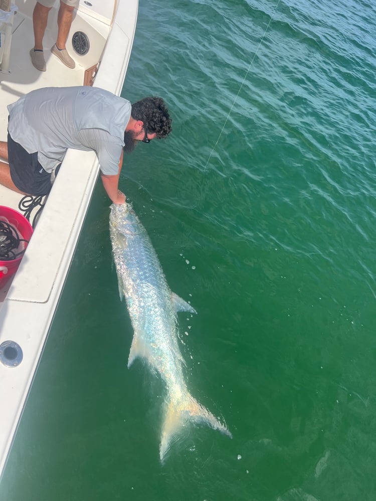 Reel Salty Sportfishing Tarpon Fishing In Clearwater