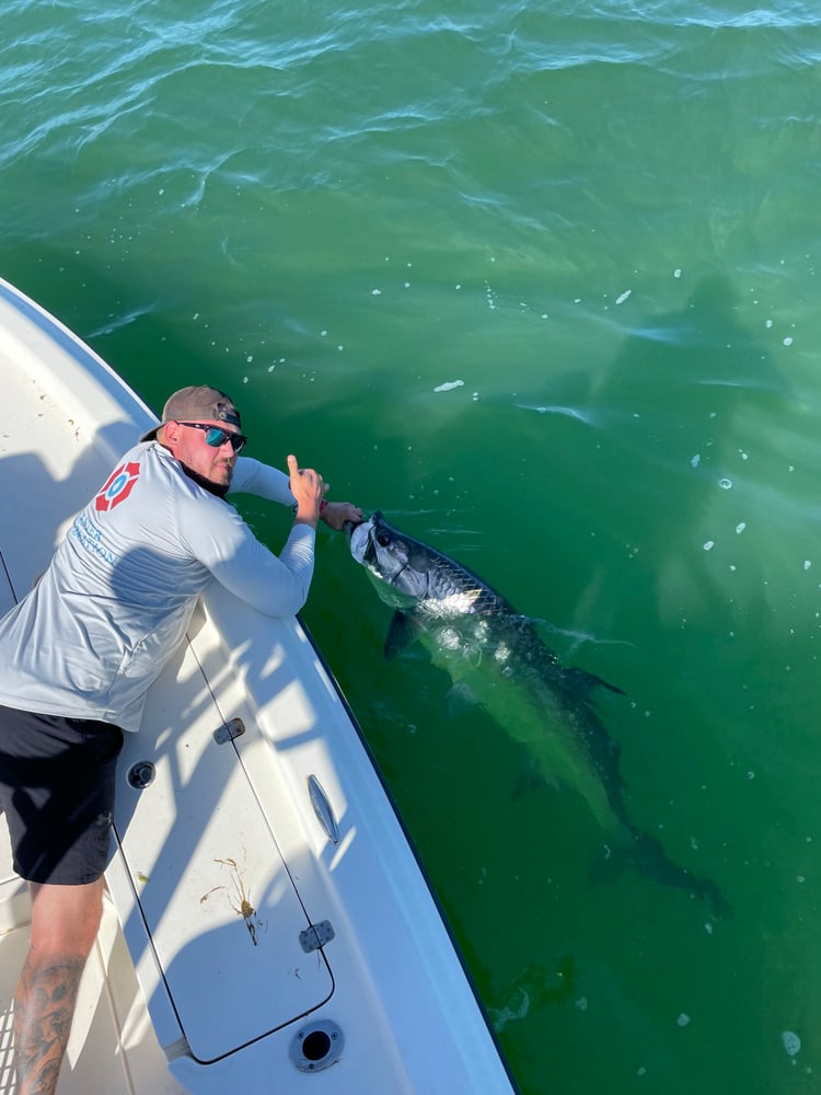 Reel Salty Sportfishing Tarpon Fishing In Clearwater