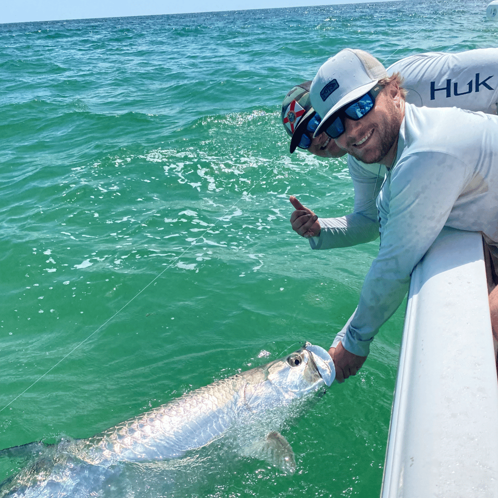 Reel Salty Sportfishing Tarpon Fishing In Clearwater