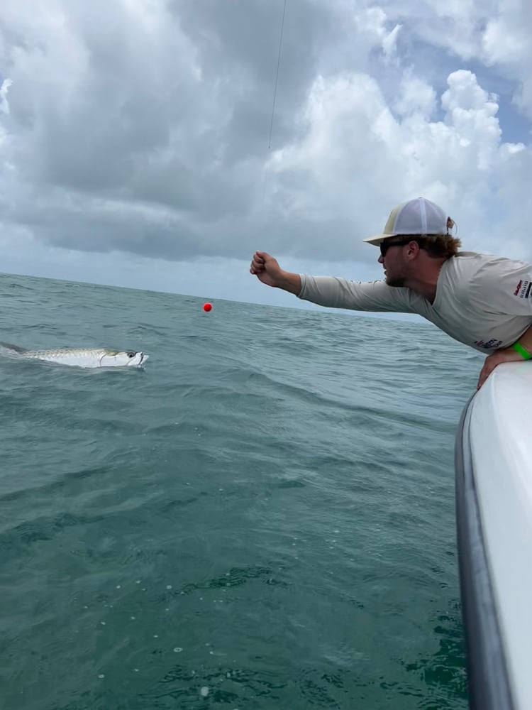 Reel Salty Sportfishing Tarpon Fishing In Clearwater