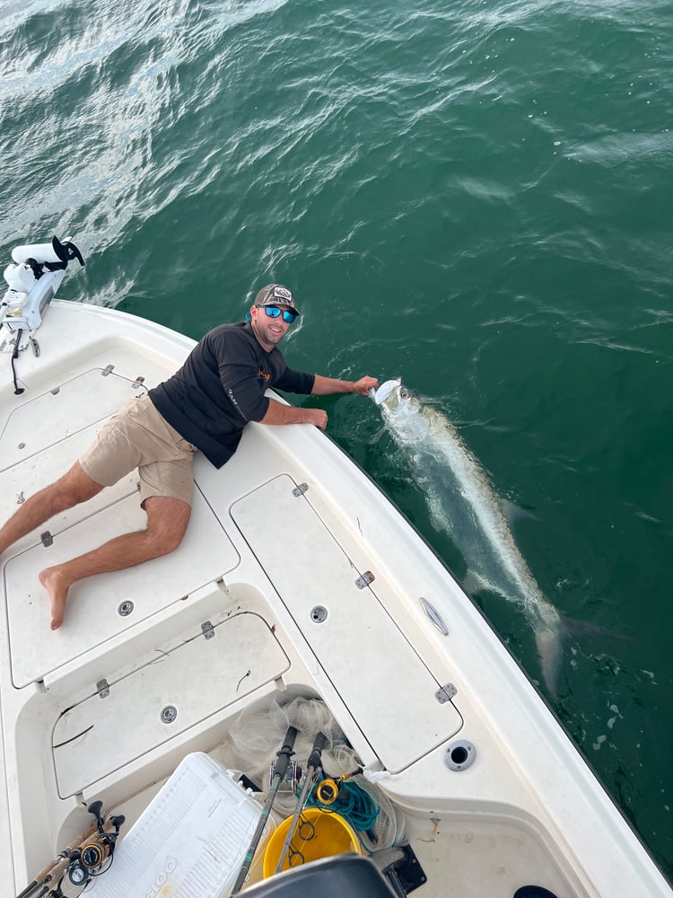 Reel Salty Sportfishing Tarpon Fishing In Clearwater