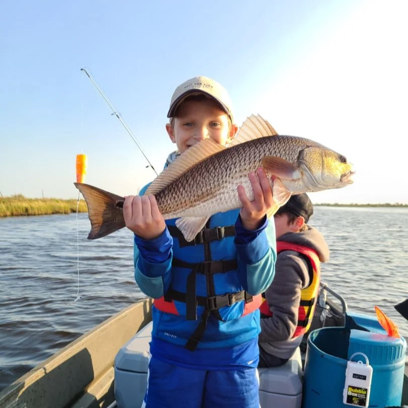 Marsh Redfish Pursuit In Saint Bernard