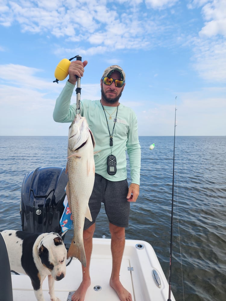 Marsh Redfish Pursuit In Saint Bernard