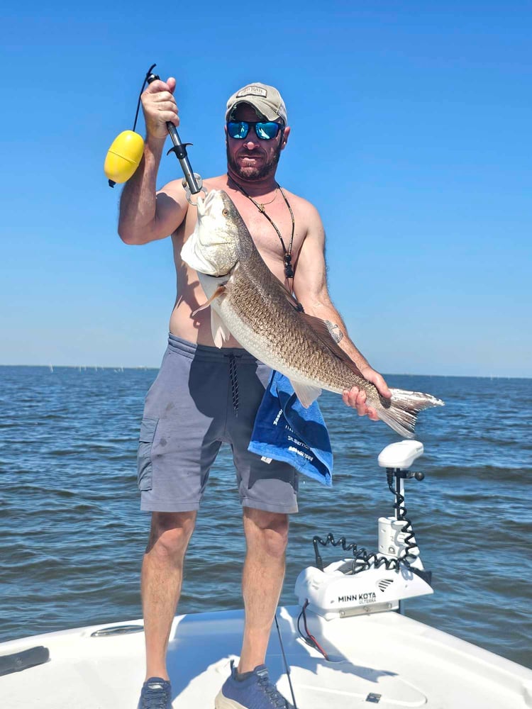 Marsh Redfish Pursuit In Saint Bernard