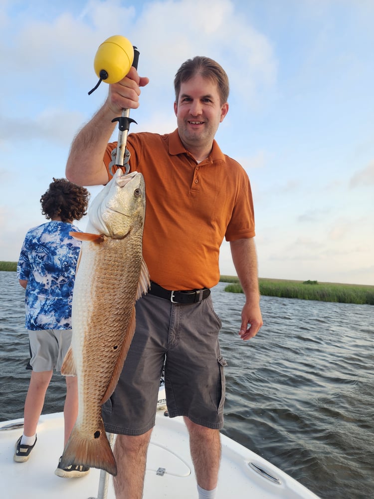 Marsh Redfish Pursuit In Saint Bernard