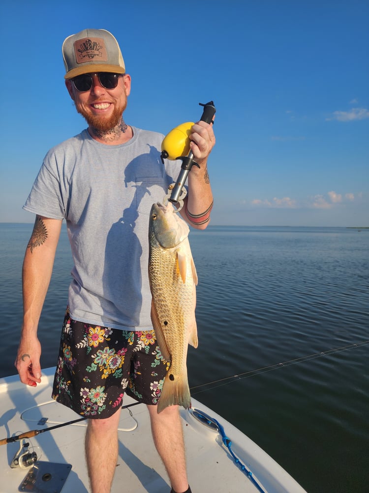 Marsh Redfish Pursuit In Saint Bernard