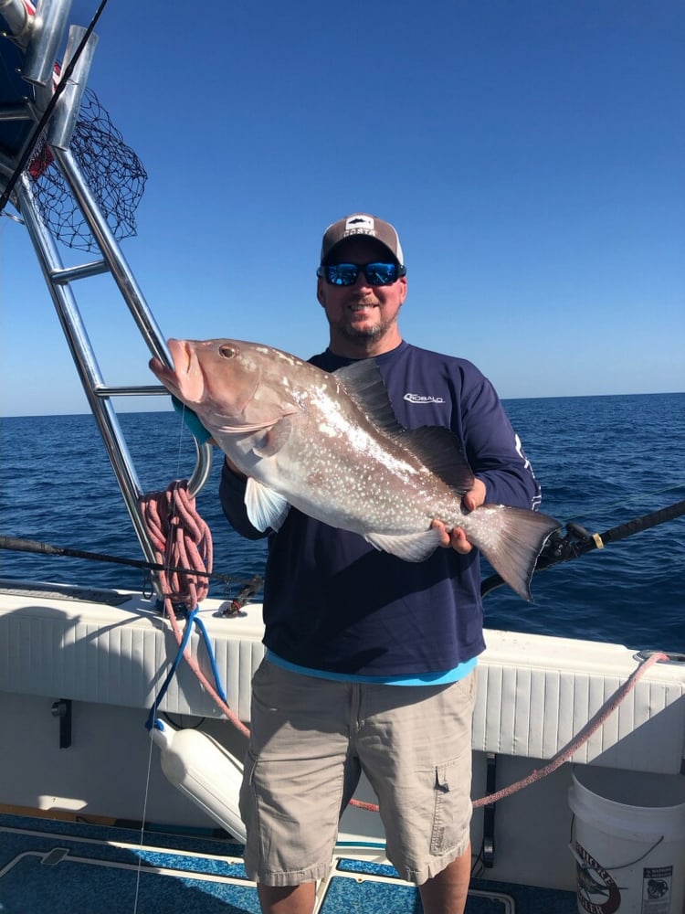 Red Snapper Baby! In Fort Myers Beach