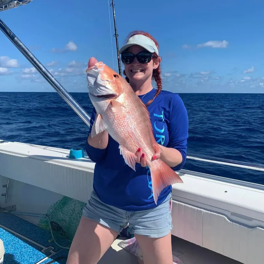 Red Snapper Baby! In Fort Myers Beach