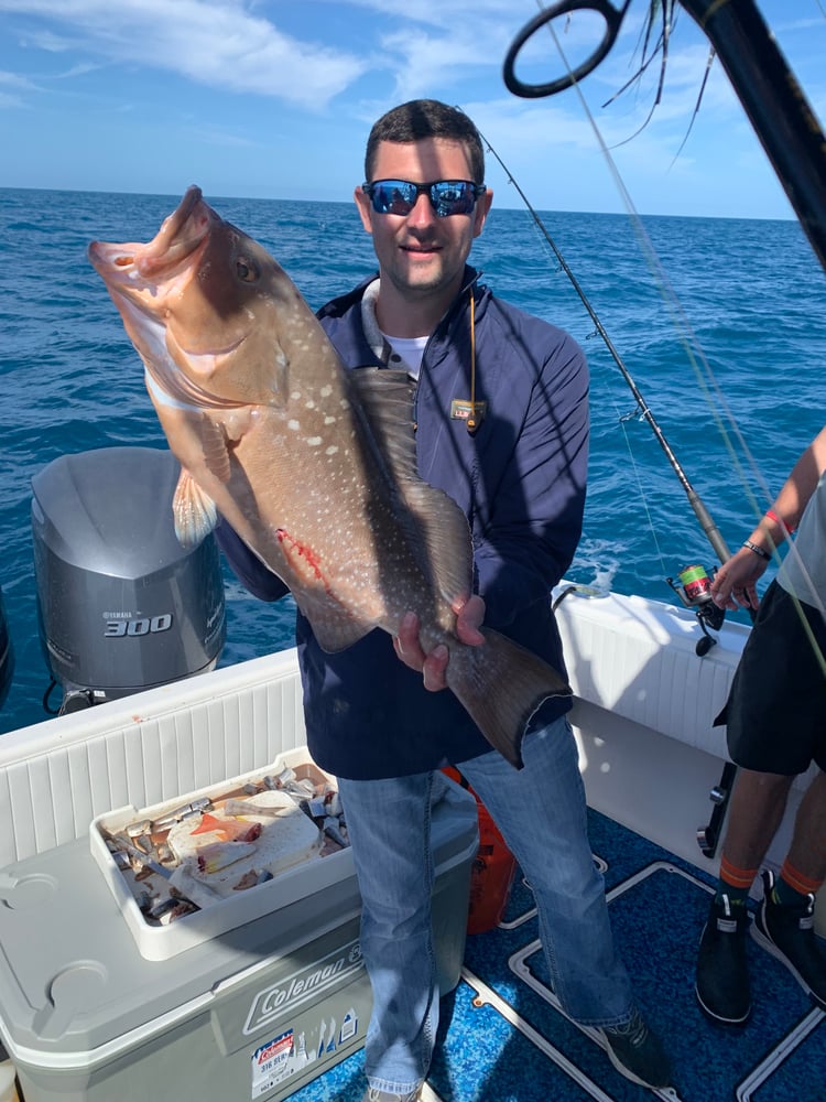 Red Snapper Baby! In Fort Myers Beach