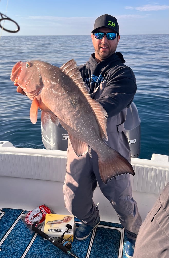 Red Snapper Baby! In Fort Myers Beach