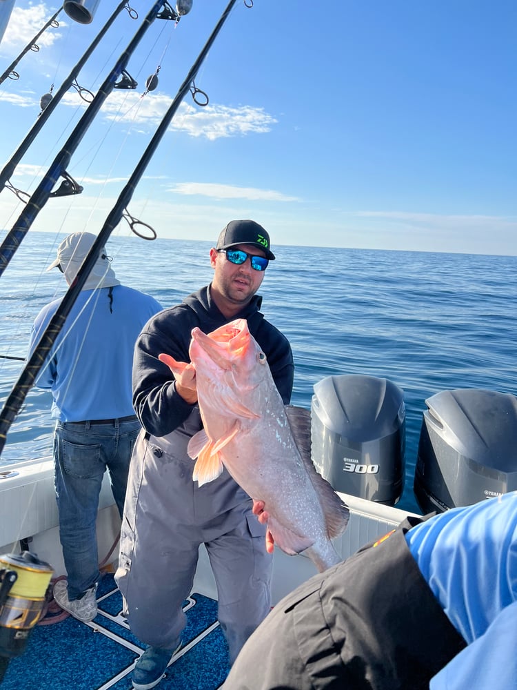 Red Snapper Baby! In Fort Myers Beach