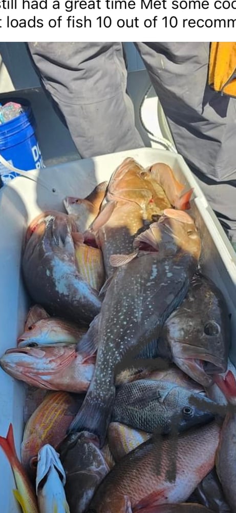 Red Snapper Baby! In Fort Myers Beach