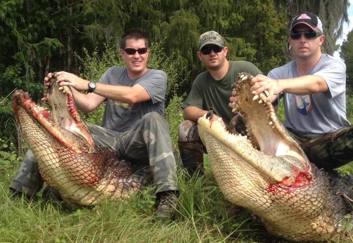 Florida Alligator Hunting In Zolfo Springs