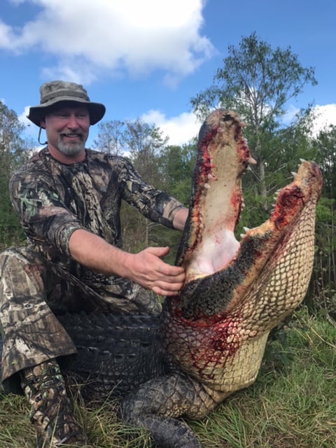 Florida Alligator Hunting In Zolfo Springs