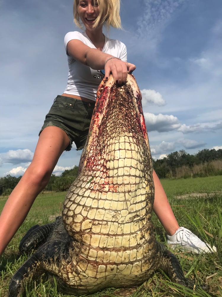 Florida Alligator Hunting In Zolfo Springs