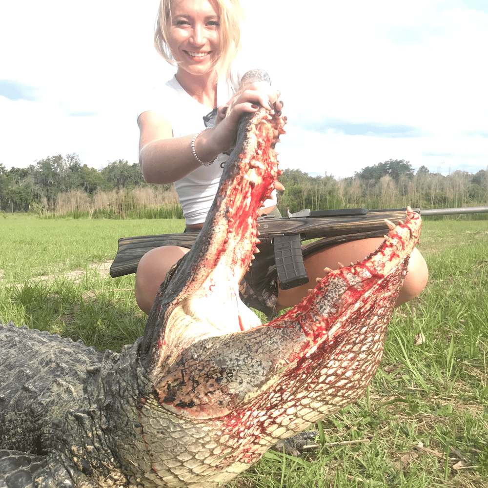 Florida Alligator Hunting In Zolfo Springs