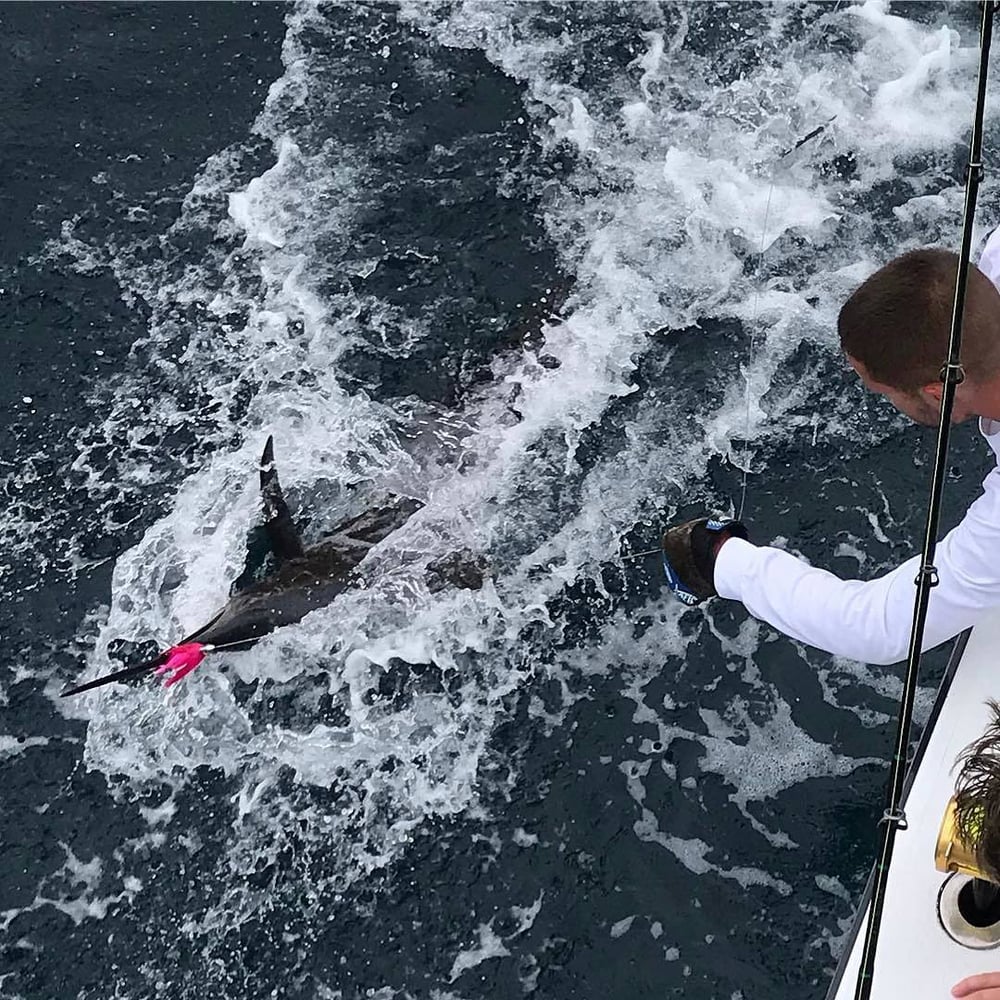 Bachelor Party Fishing Fun! In Miami Beach