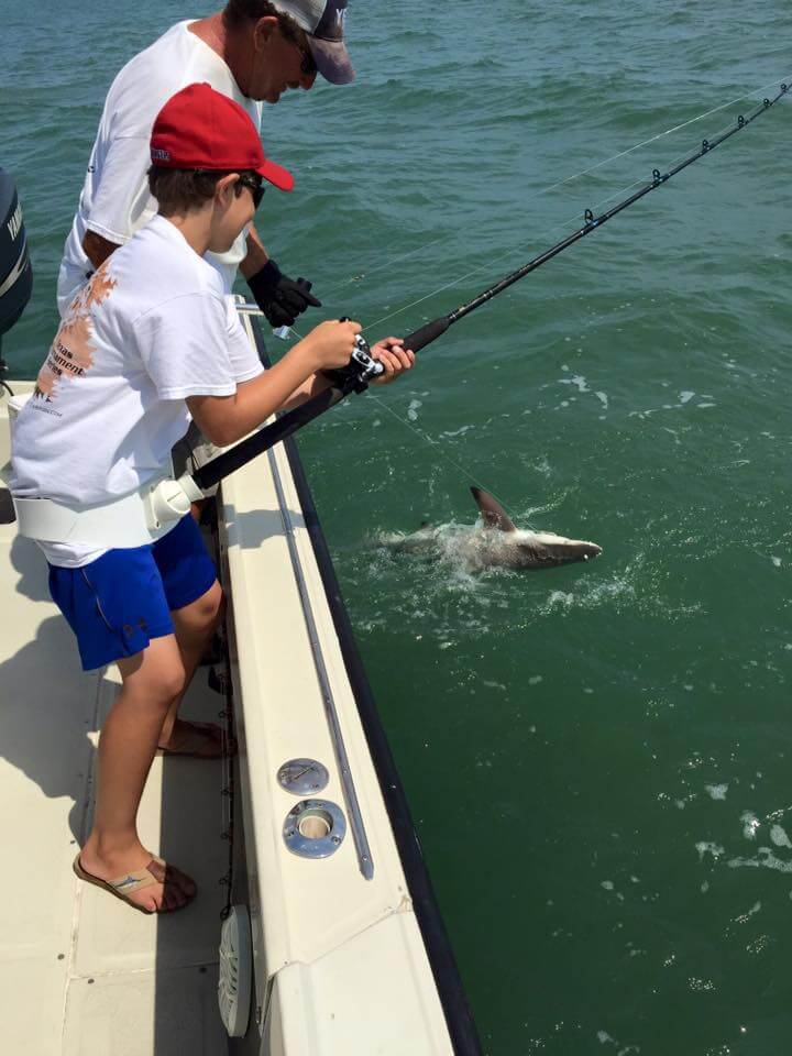 Texas City Shark Trip In Texas City