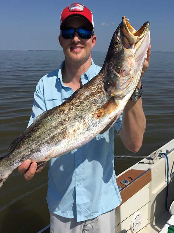 Bay Trip - 25' Boston Whaler In Texas City