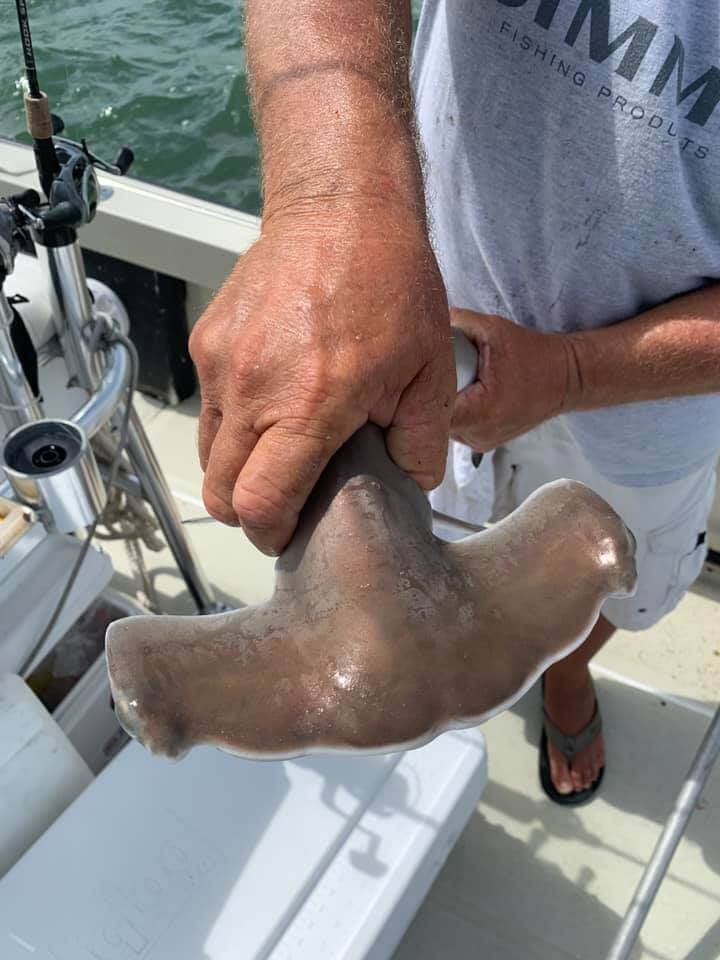 Texas City Shark Trip In Texas City