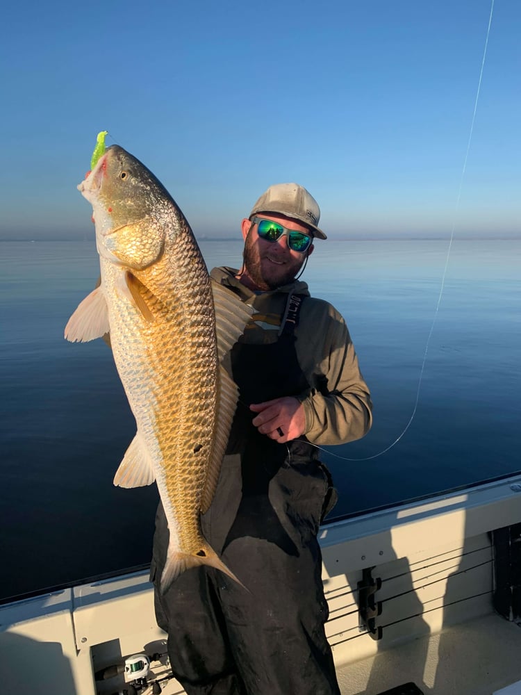 Bay Trip - 25' Boston Whaler In Texas City