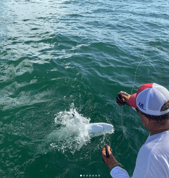 Texas City Shark Trip In Texas City