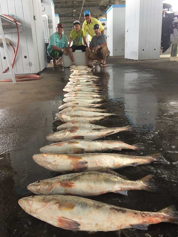 Bay Trip - 25' Boston Whaler In Texas City