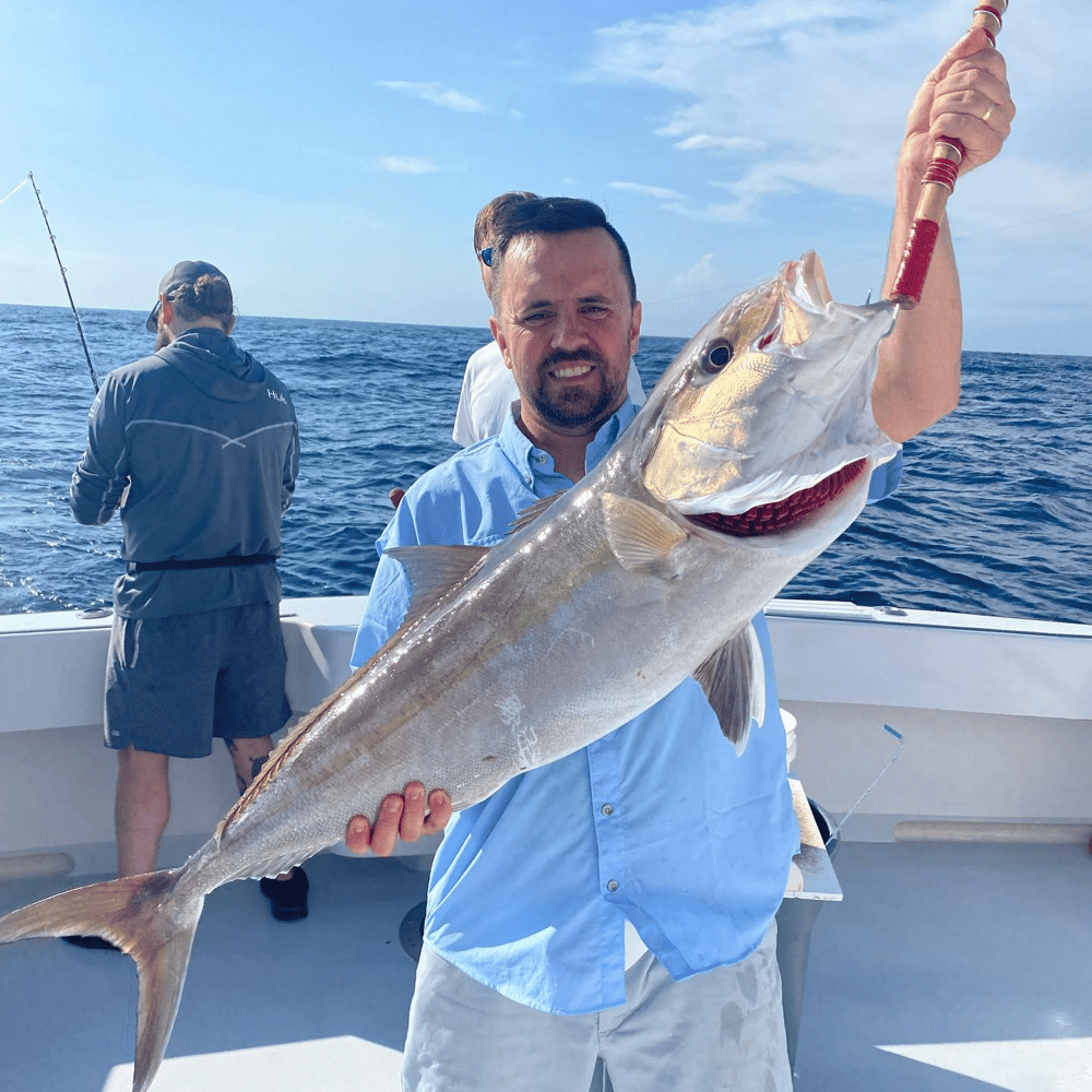 Amberjack In Destin