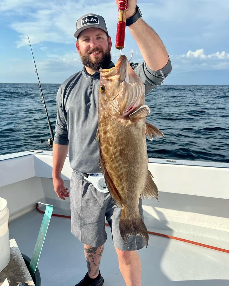 Amberjack In Destin