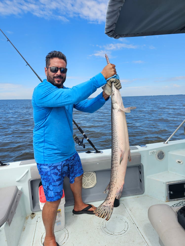 Gulf Breeze Inshore In Gulf Breeze