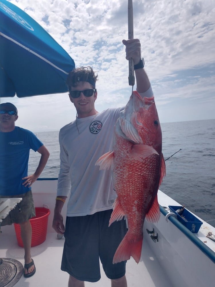 Live Red Snapper Action - 48' Viking In Panama City