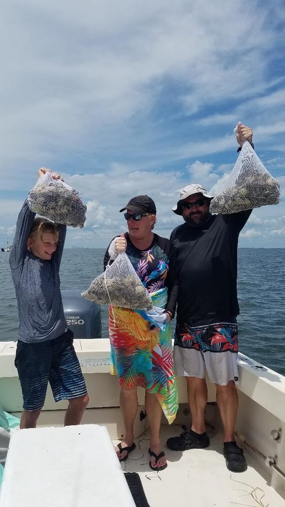 Scallop Adventure In Crystal River