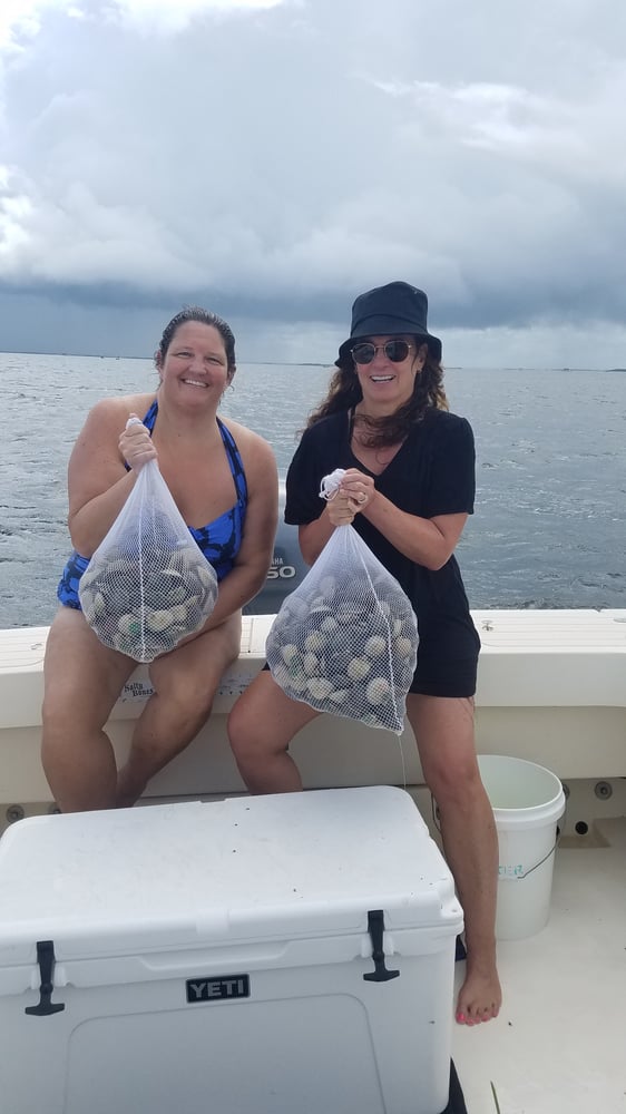 Scallop Adventure In Crystal River