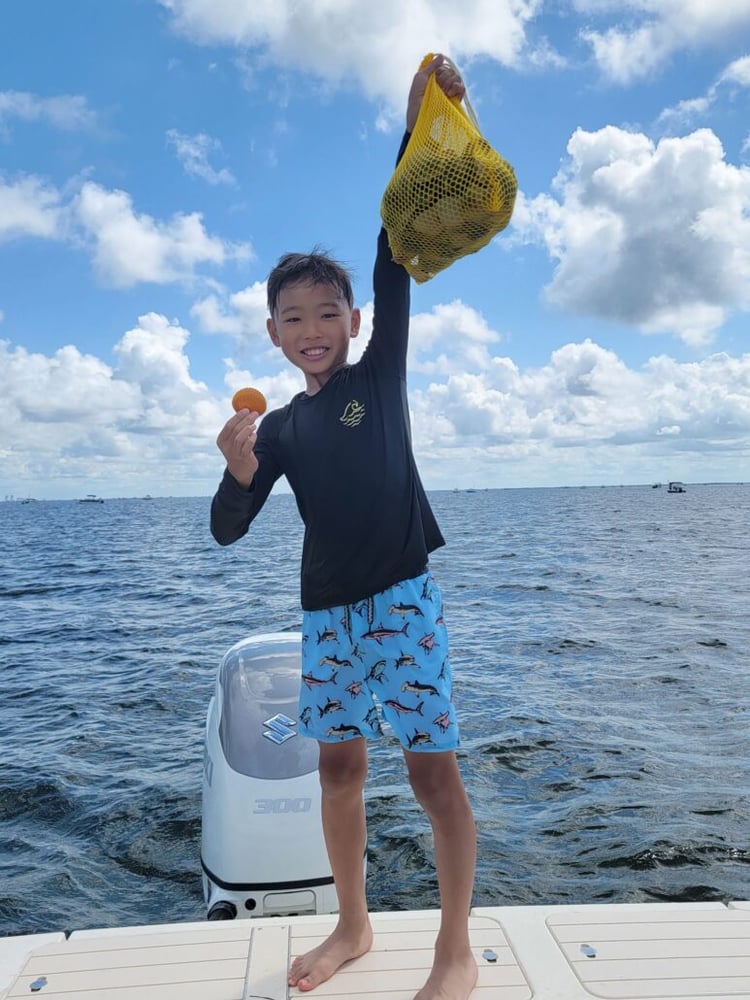 Scallop Adventure In Crystal River