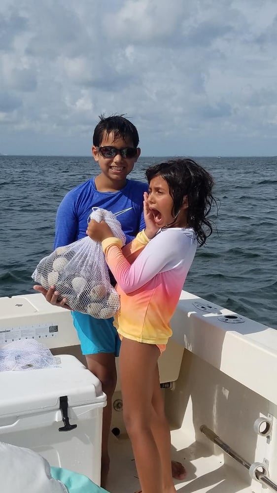 Scallop Adventure In Crystal River