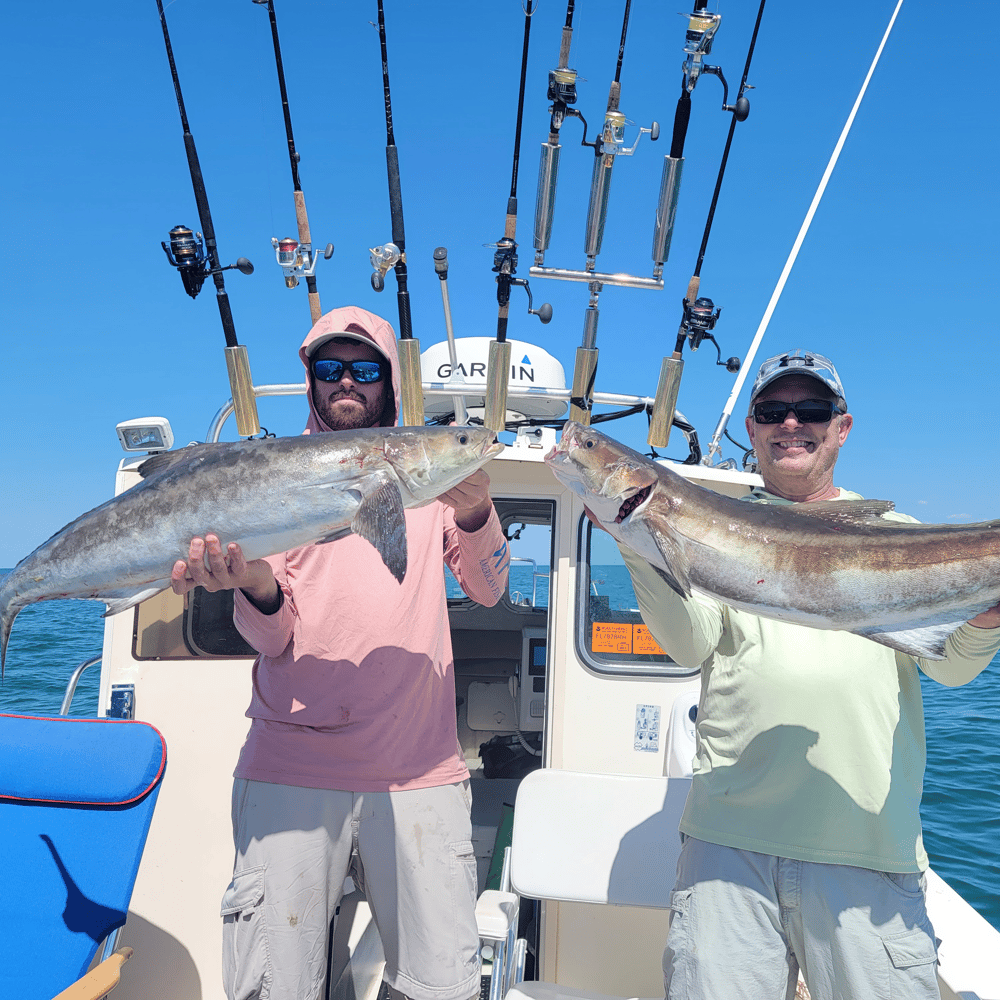 Cobia Adventure In Crystal River