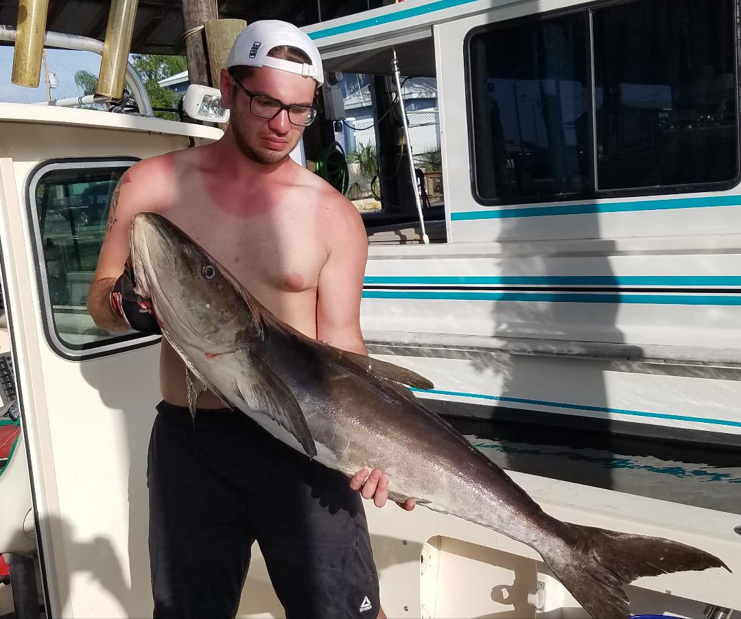 Cobia Adventure In Crystal River