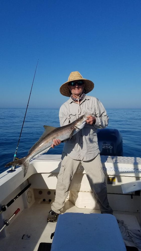 Cobia Adventure In Crystal River