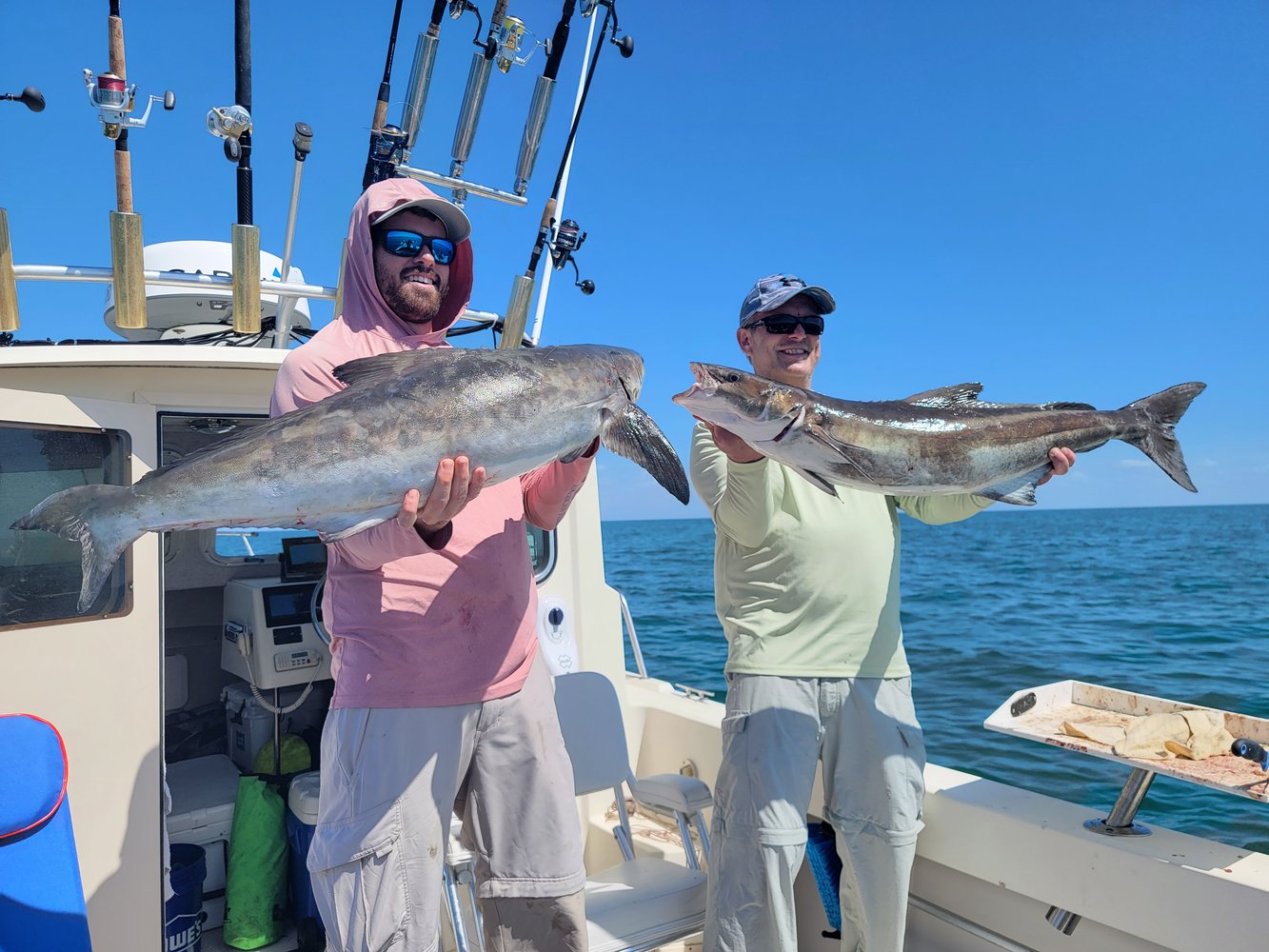 Cobia Adventure In Crystal River