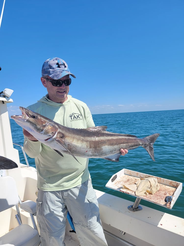 Cobia Adventure In Crystal River