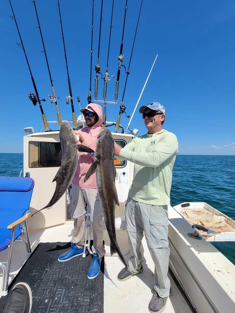 Cobia Adventure In Crystal River