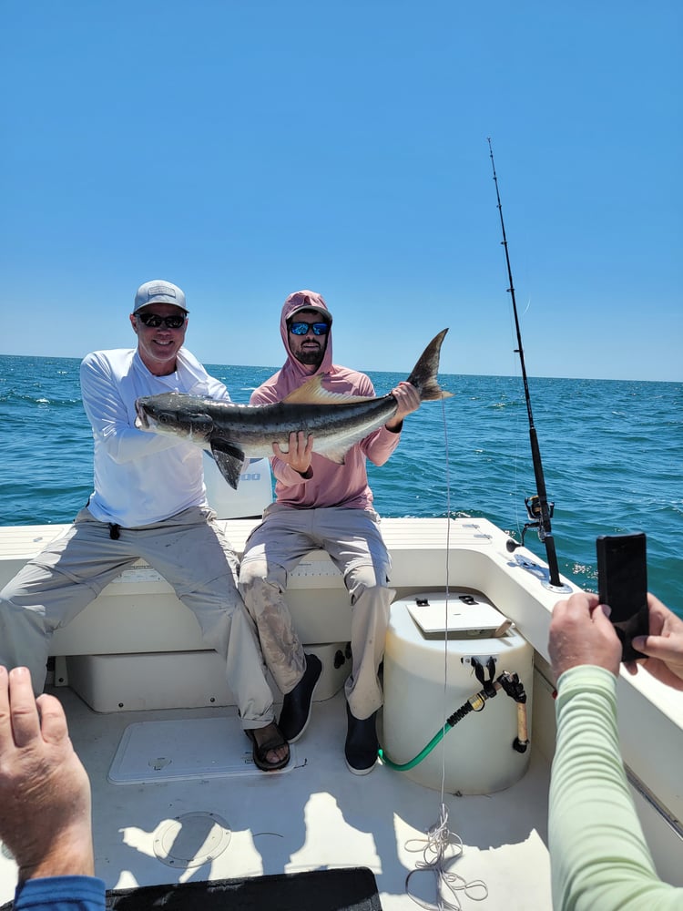 Cobia Adventure In Crystal River