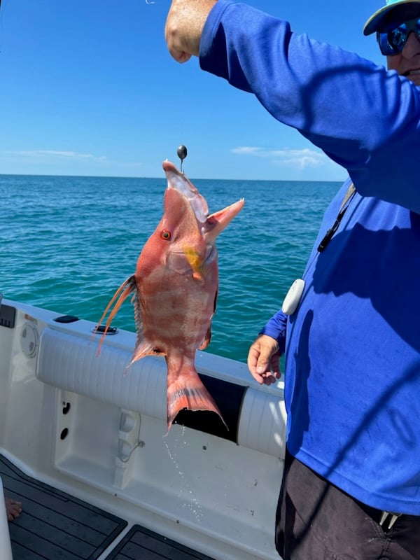 4 Hour Charter In Belleair Bluffs