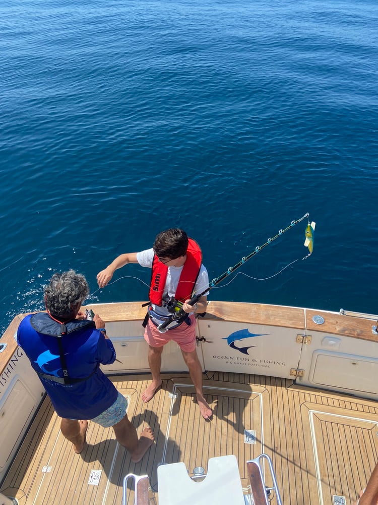 Day Trip - White Marlin In Olhão