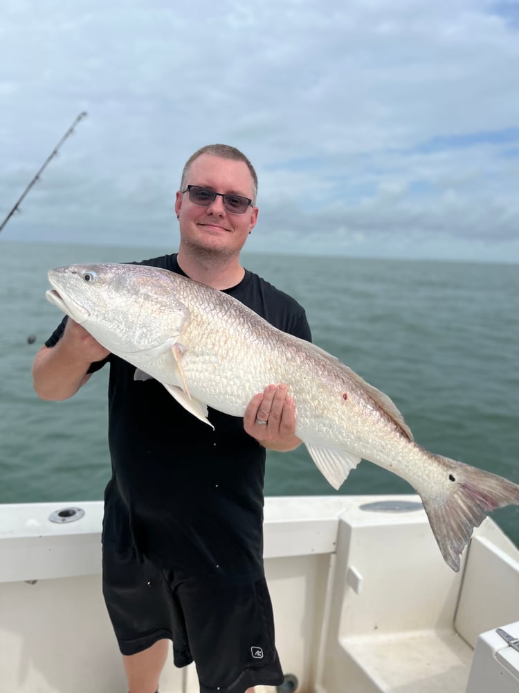 Bay/Jetty Fun! - 33' In Galveston